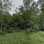 4 Person In